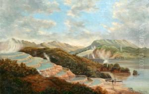 View Of Lake Rotomahana With Pink And White Terraces