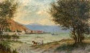 Nelson Forshore by Charles Blomfield