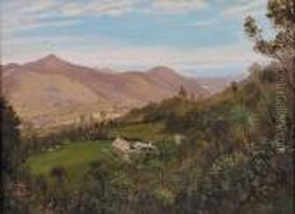 North Island Landscape - view 1