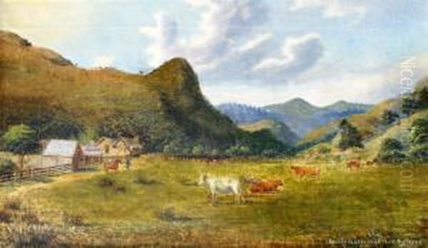 Southern Homestead - view 1