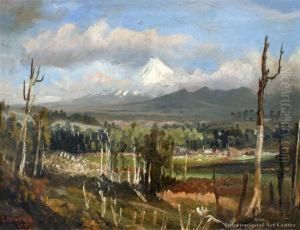 Mt Egmont, Taranaki