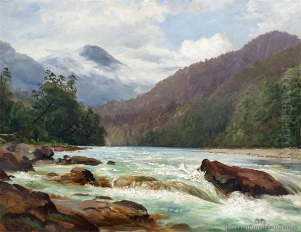Fall On The Buller River Near The Hope by Charles Blomfield