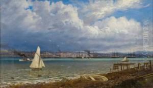 Auckland From The Northshore