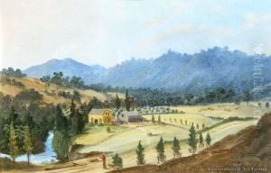 Manders Mill, Waitakere