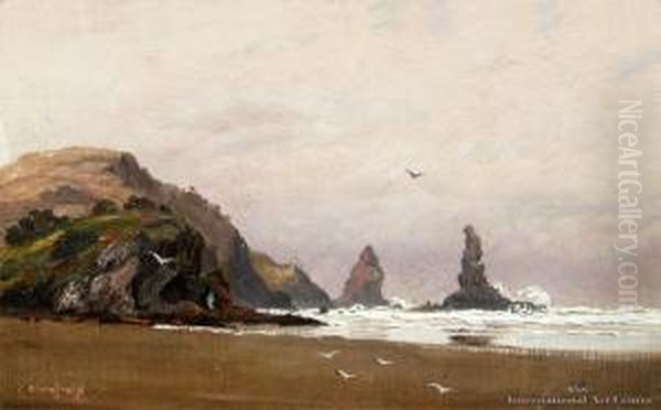 Bethells Beach - view 1