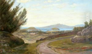View Of Auckland From Mt Eden by Charles Blomfield