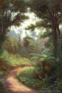 Coromandel Bush Track