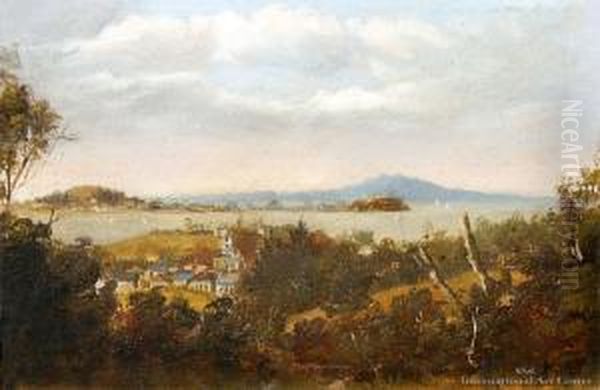 Auckland Harbour From The Domain - view 1