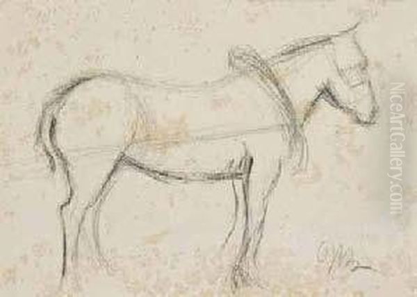 Studio Di Cavallo - view 1