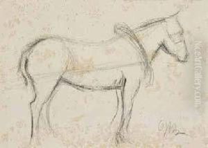 Studio Di Cavallo