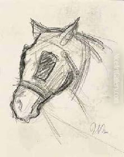 Studio Di Cavallo - view 1