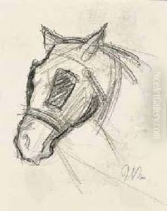 Studio Di Cavallo