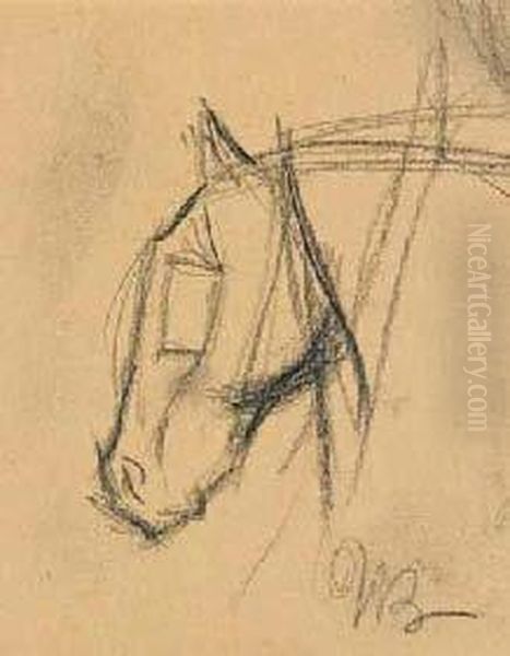 Testa Di Cavallo - view 1