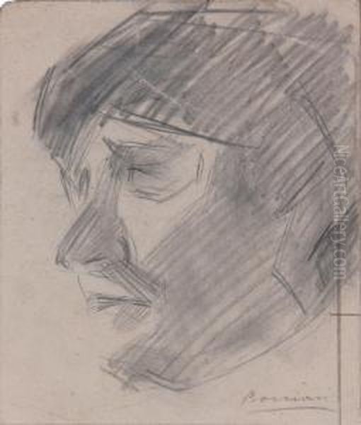 Testa Di Donna - view 1