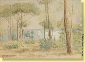 Paysage Mediterraneen Avec Pins Parasols by Anna Boch