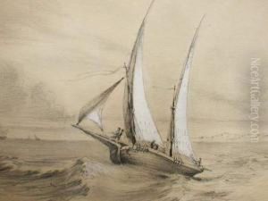 Barque Barque