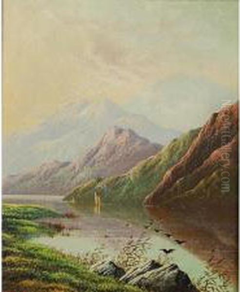 Landscape - view 1