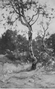 A Birch by Paul Bodifee
