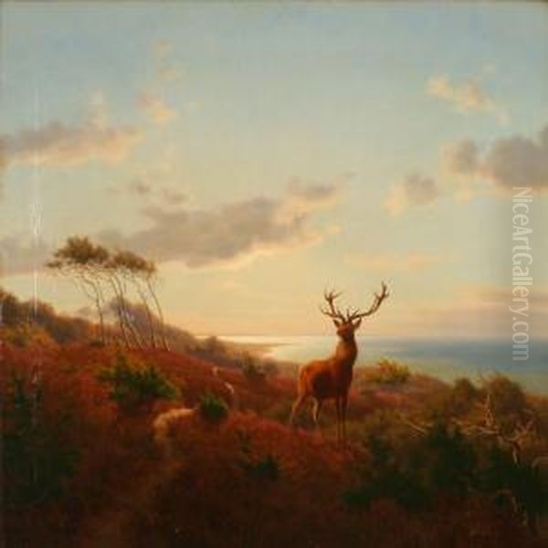A Stag In An Evening Autumn Landscape - view 1