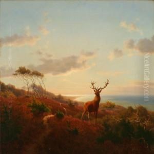 A Stag In An Evening Autumn Landscape