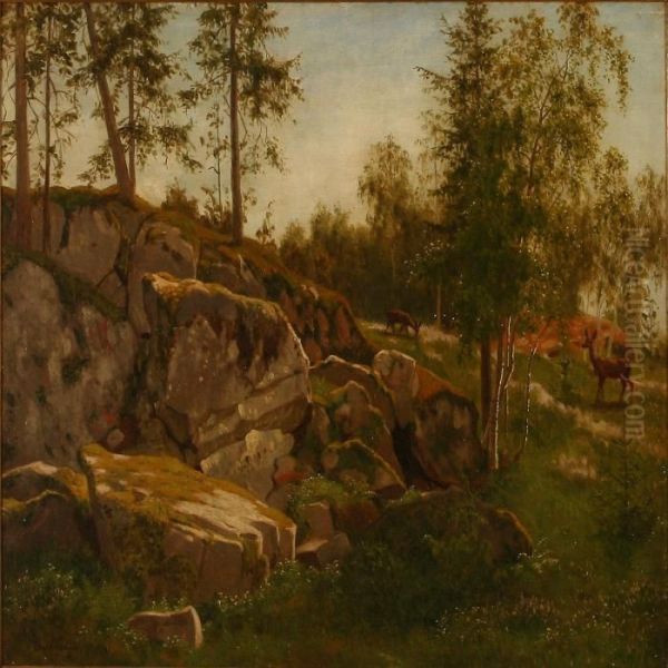 Forest Scene With Does - view 1