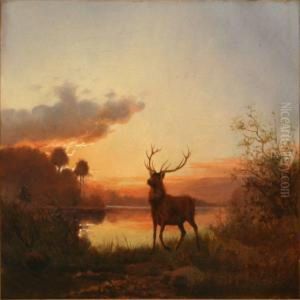 Evening Landscape With A Stag