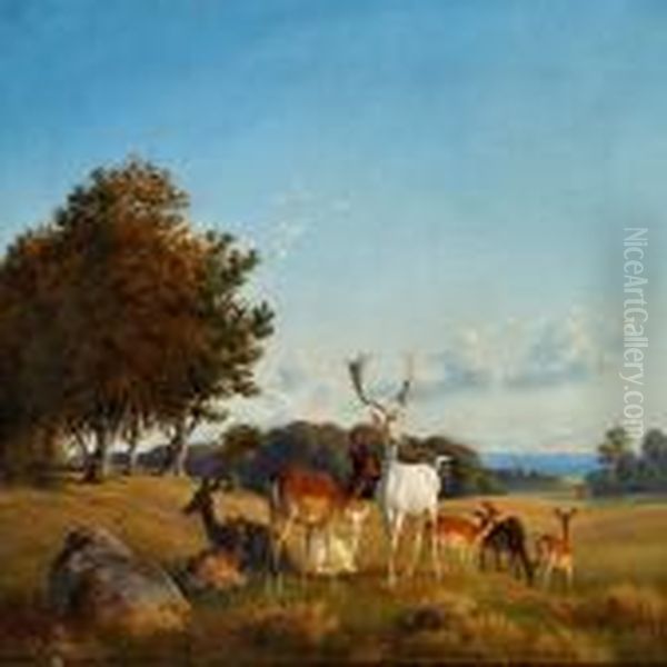 Dyrehaven - view 1