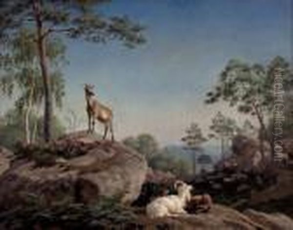 Ziegenherde In Felsiger Waldlandschaft - view 1