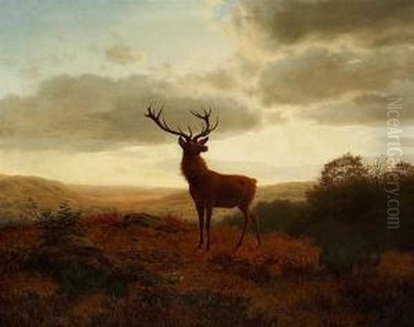 Bogh: A Stag In A Moor Landscape In The Twilight - view 1