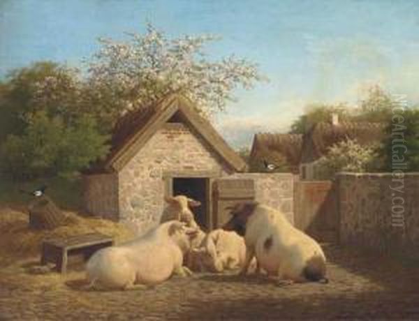 Animal Farm - view 1