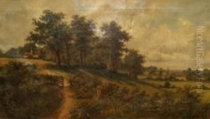 Extensive Wooded Landscape Extensive Wooded Landscape