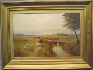 Along A Country Path