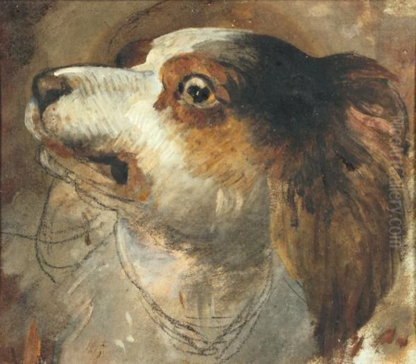 Etude De Chien - view 1