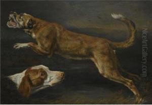 A Study Of Two Dogs, A Pointer And A Hound