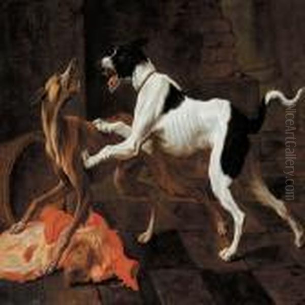 Fighting Dogs - view 1