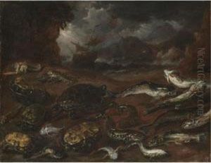 A Still Life Of Turtles, An Eel,
 Pike, Lobsters And Other Fish On The Shore, A Ship In Stormy Seas 
Beyond by Peeter Boel
