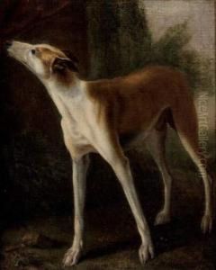 Portrait De Chien