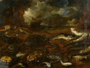 Studie Von Fischen Und Schildkroten An Einem Strand.