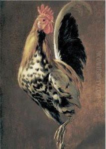 A Rooster by Peeter Boel