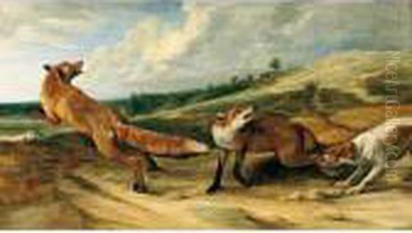 A Spaniel Attacking A Vixen And Dog Fox In An Open Landscape - view 1