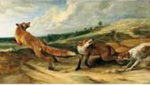 A Spaniel Attacking A Vixen And Dog Fox In An Open Landscape