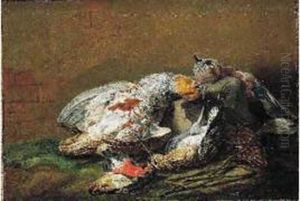 Perdreau Gris, Caille Et Geai Sur Un Entablement