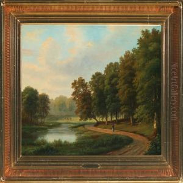Dyrehaven - view 1