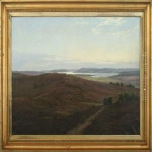 View From A Danish Moor by Johannes Boesen