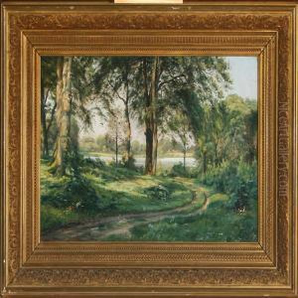 Forest Scenery - view 1