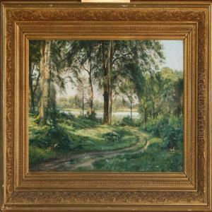 Forest Scenery by Johannes Boesen