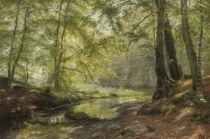 A Woodland Brook