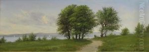 Paysage Paysage
