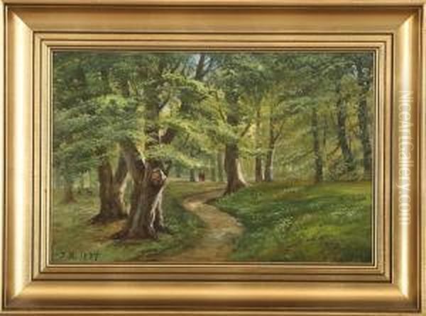 A Springday I The Woods - view 1
