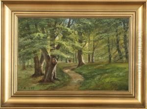 A Springday I The Woods by Johannes Boesen